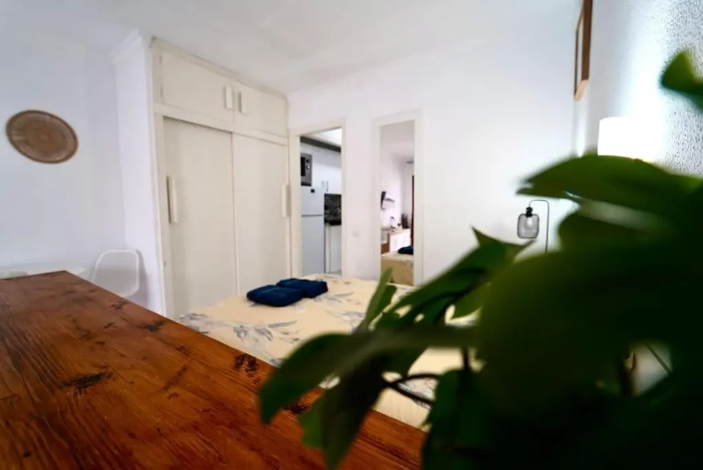Διαμέρισμα Danubio Studio - Playa Del Ingles Μασπαλόμας Ισπανία
